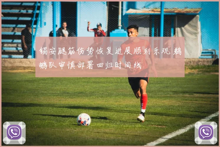 锡安腿筋伤势恢复进展顺利乐观 鹈鹕队审慎部署回归时间线
