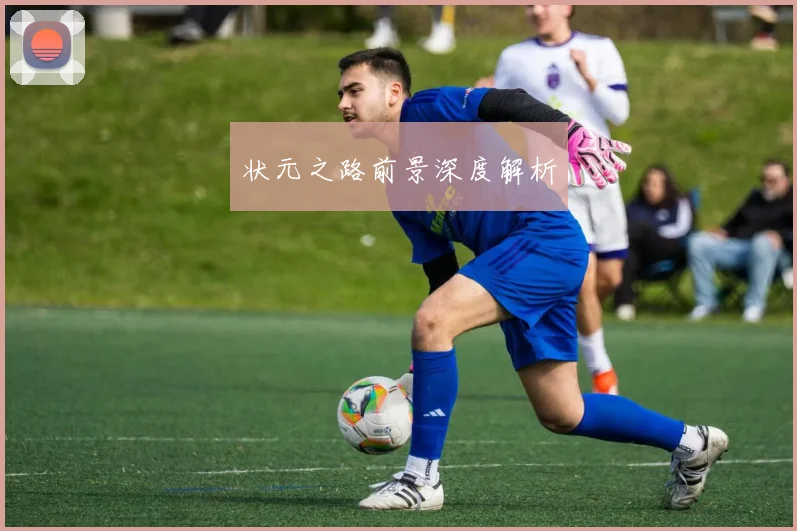 状元之路前景深度解析