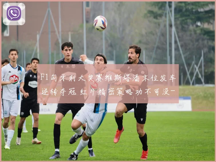 F1匈牙利大奖赛维斯塔潘末位发车逆转夺冠 红牛精密策略功不可没